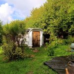 Kerterre des grillons