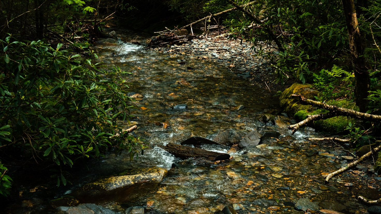 Lire la suite à propos de l’article Comment choisir un hébergement respectueux de l&rsquo;environnement