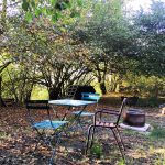 Espace terrasse privatif sous la haie de noisetiers